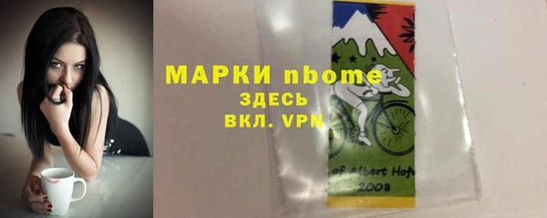 мдпв Бородино